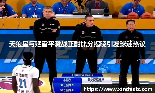天狼星与延雪平激战正酣比分揭晓引发球迷热议