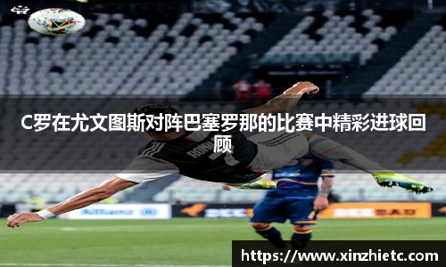 WE真人视讯官网