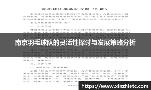 南京羽毛球队的灵活性探讨与发展策略分析